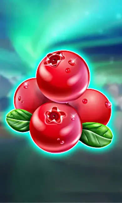 Winterberries